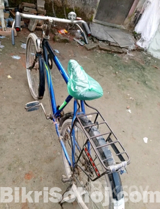 Cycle